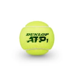 Dunlop Tennisbälle ATP - Offizieller Spielball Nitto ATP Finals Dose 3er -TENNISTOWN Verkäufe Dunlop 601313 atp20official20ball 2 1024x1024 1