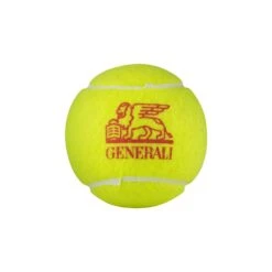 Dunlop Tennisbälle Trainer VDT Official Dose 18x4er Im Karton -TENNISTOWN Verkäufe Dunlop 603761 dunlop20trainer 4pet Ball 3 1024x1024 2