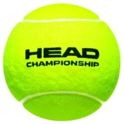 Head Tennisbälle Championship Dose 4er -TENNISTOWN Verkäufe HEADChampionshipball 408x408 1