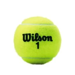 Wilson Tennisbälle Championship Dose 3er -TENNISTOWN Verkäufe Wilson WRT100101 Black Wilson 1 Ball No Shadow201 784x784 1