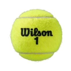 Wilson Tennisbälle Roland Garros Clay Dose 4er -TENNISTOWN Verkäufe Wilson WRT115000 0 GBL Roland Garros 4Ball202 690x690 3