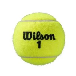 Wilson Tennisbälle Roland Garros Allcourt Dose 2x4er -TENNISTOWN Verkäufe Wilson WRT116400 2 Roland Garros Official Ball204 727x727 1