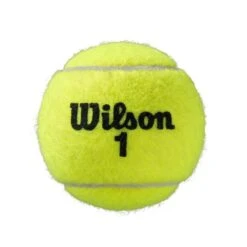 Wilson Tennisbälle Roland Garros Clay Dose 24x3er Im Karton -TENNISTOWN Verkäufe Wilson WRT125000 1 GBL Roland Garros 3Ball202 735x735 1