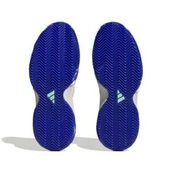 ADIDAS PERFORMANCE Adidas Tennisschuhe Barricade Clay/Sandplatz (Stabil) 2023 Weiss/blau/violett Damen -TENNISTOWN Verkäufe adidas HQ8428 Barricade Clay Tennisschuh203 1200x1200 1